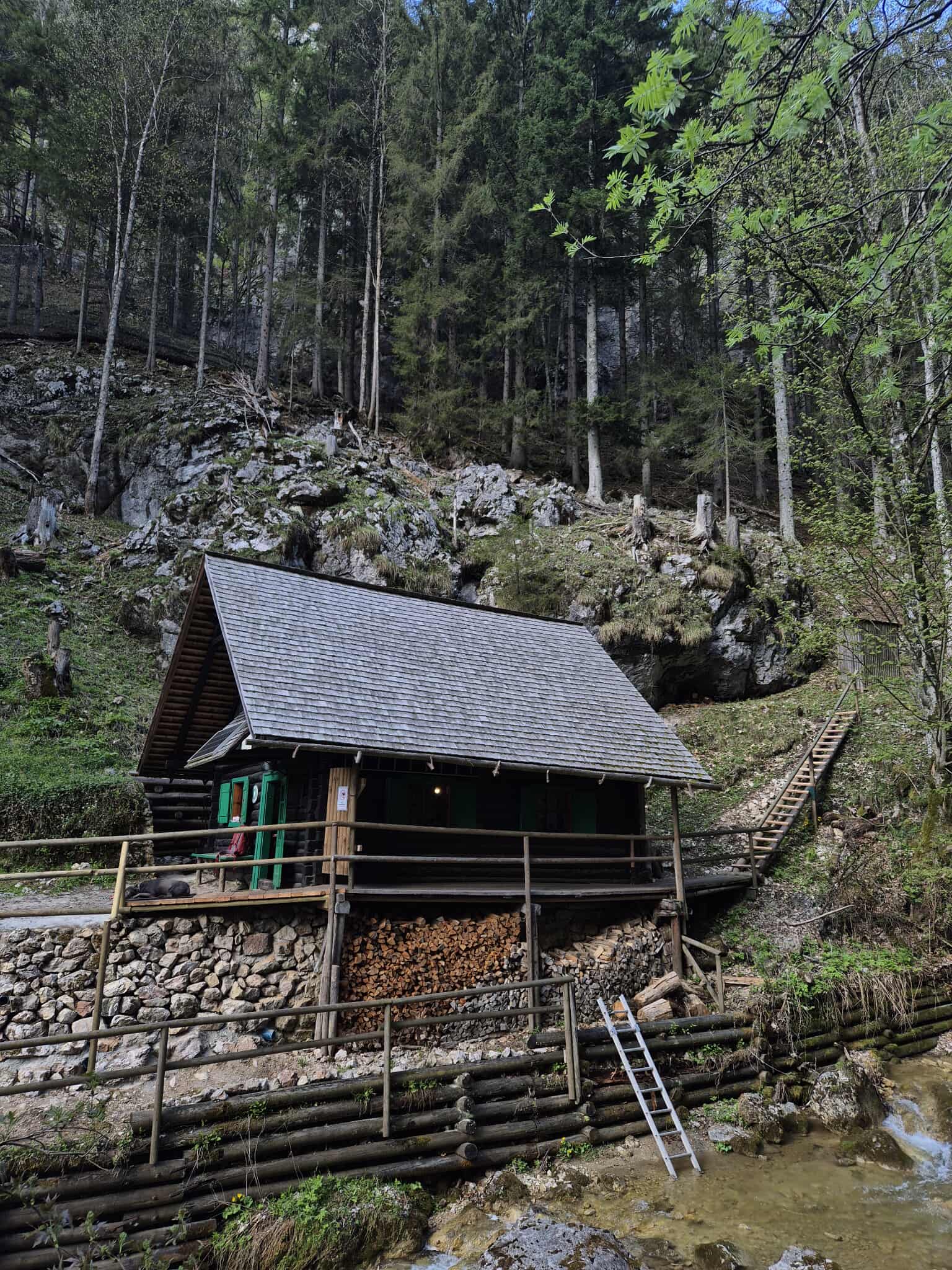 Description of the image
